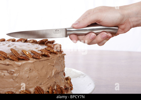 Hand zu schneiden Kuchen Stockfoto