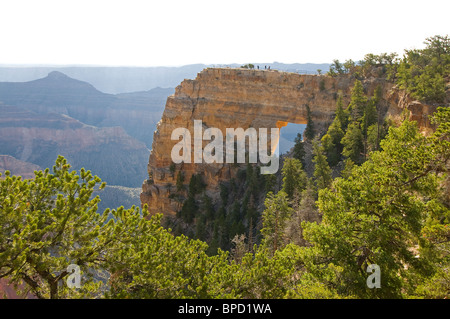 Engel Fenster North Rim Grand Canyon National Park-Arizona Stockfoto