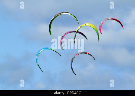 Drachen in den Himmel Stockfoto