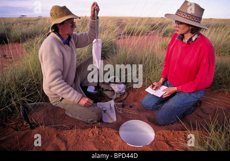 Außendienstmitarbeiter, die Aufnahme der heimischen Fauna, Australien Stockfoto