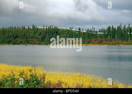 Trans-Alaska / Trans-Alaska-Pipeline Alias Alyeska Pipeline, Öl-Pipeline oben Boden entlang Richardson Highway, AK, Alaska, USA Stockfoto