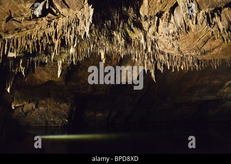 Der unterirdische Fluss Lesse in Grottes de Han, Han Sur Lesse, Wallonien, Belgien Stockfoto