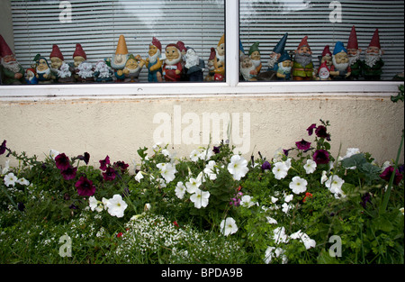 Gartenzwerge in Folge auf einem Fensterbrett, Chichester West Sussex England UK Stockfoto