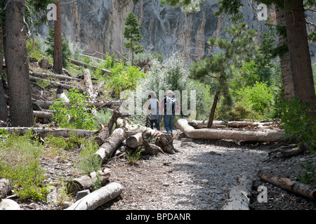 Ein paar Wandern in den Wäldern Mt Charleston in der Nähe von Las Vegas, Nevada, USA Stockfoto