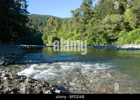 Hutt River, Kaitoki Regionalpark, Upper Hutt, Wellington, Nordinsel, Neuseeland Stockfoto