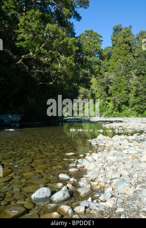 Hutt River, Kaitoki Regionalpark, Upper Hutt, Wellington, Nordinsel, Neuseeland Stockfoto