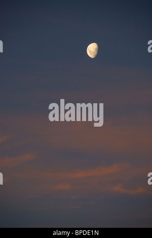 Mond und rosa Wolken bei Sonnenuntergang, Titahi Bay, Porirua, Wellington, Neuseeland Stockfoto