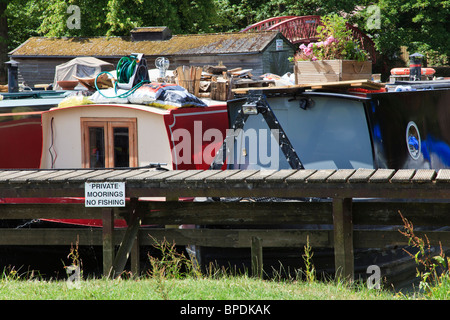 Hausboote auf der Themse oder Isis in der Nähe von Fiddlers Insel zwischen Godstow Schloss und Oxford, Oxfordshire, Vereinigtes Königreich Stockfoto