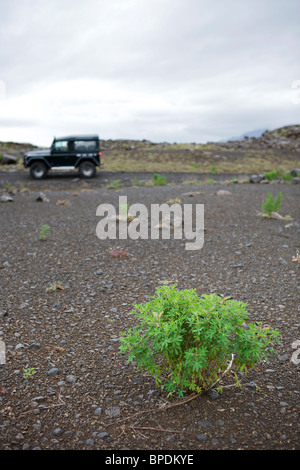 Land Rover Defender 90 300 TDI im inneren Hochland von Island Stockfoto