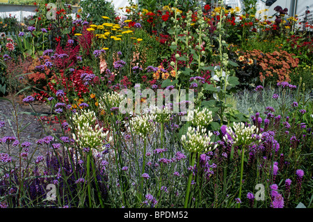 Bunt blühende Grenze im Sommer mit Nahaufnahme Detail der Pflanzen Stockfoto