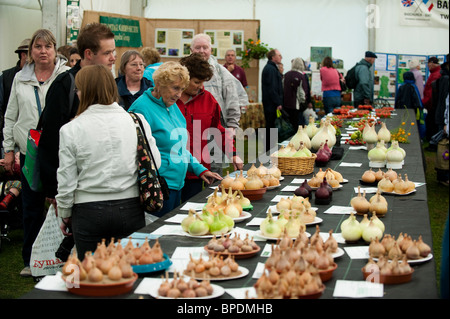 Besucher betrachten Zwiebeln auf Shrewsbury Flower Show 2010, Shropshire, UK Stockfoto