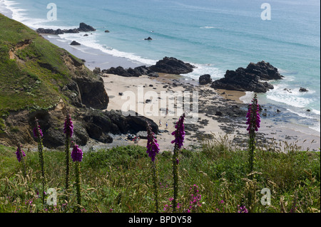 Marloes Sand Strand und die Bucht in Pembrokeshire coastal National Park Dyfed wales Stockfoto