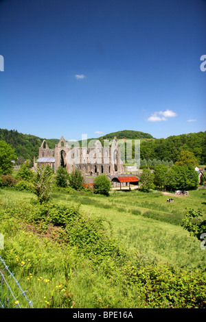 Tintern, Wales. Die Ruinen einer alten noch herrliche Abtei, Tintern Abbey in Wales. Stockfoto