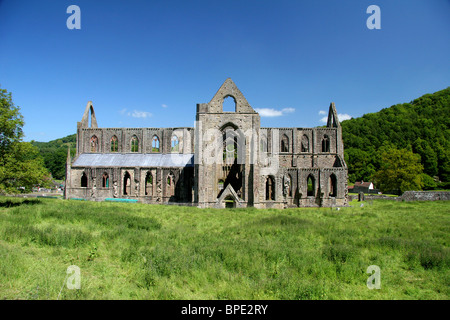 Tintern, Wales. Die Ruinen einer alten noch herrliche Abtei, Tintern Abbey in Wales. Stockfoto