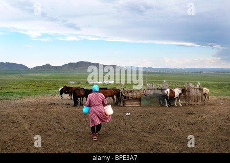 Alltag, Melken, mongolischen Nomaden, Mongolei Stockfoto