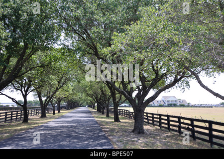 Southfork Ranch, Texas, USA - Form beliebten TV-Serie "Dallas" Stockfoto