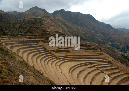 Restaurierte Inka-Zitadelle-Ruinen, auf einem Hügel über Pisac, Heiliges Tal, Peru. Stockfoto