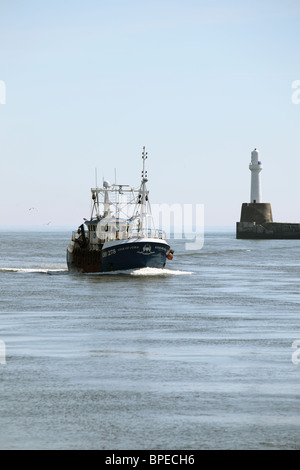 18,9 Meter Jakobsmuschel Trawler 'Star of Jura' Ankunft Aberdeen mit Fischen fangen. Schottland Stockfoto