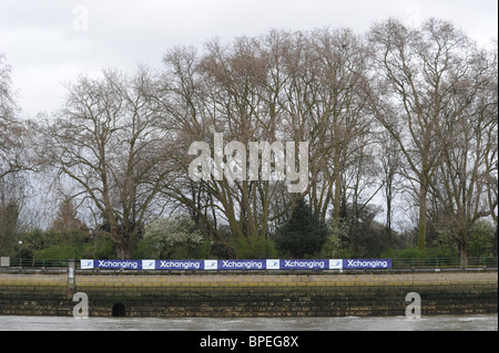 Cambridge University Trainingseinheit in Tideaway Woche. 156. Xchanging University Boat Race Stockfoto