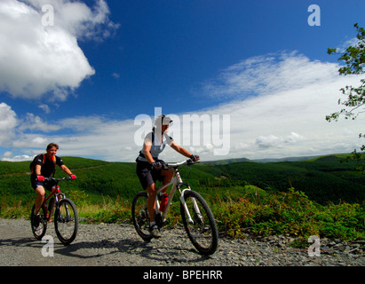 Weibliche Mountainbiker, Dyfi Forest Powys auf Mid Wales UK Europe Stockfoto