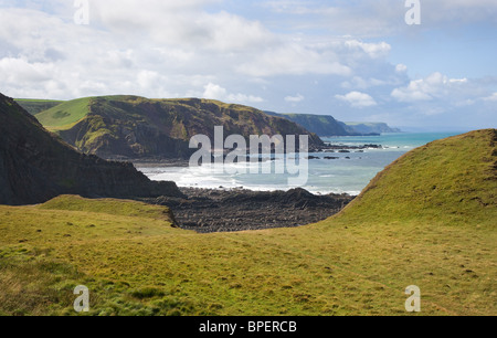 Blick Richtung Swansford Hill niedriger Scharfnasenhai, Harscott Steilufer entlang Devon & Cornish Nordküste von St. Catherines Tor Stockfoto