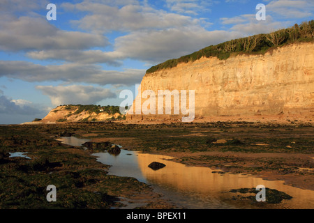 Blick entlang der Küste auf Pett Ebene in East Sussex, England Stockfoto