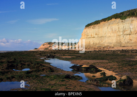 Blick entlang der Küste auf Pett Ebene in East Sussex, England Stockfoto