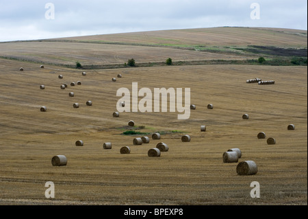 Verdrehte die Heuballen auf lange Furlong auf der South Downs in West Sussex in der Nähe von Findon, England, UK. Stockfoto