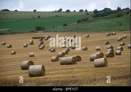 Heuballen auf lange Furlong auf der South Downs in West Sussex in der Nähe von Findon, England, UK. Stockfoto