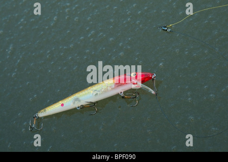 Eine bunte Fischköder Verlegung auf dem Eis Stockfoto