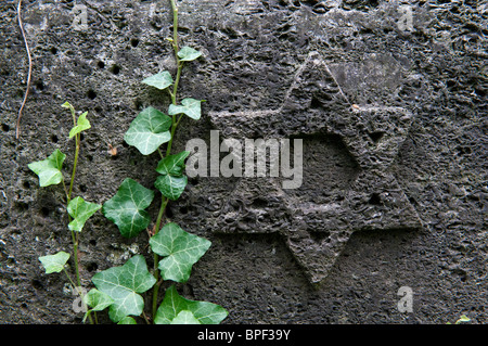 Detail aus dem alten jüdischen Friedhof in Prenzlauer Berg in Berlin Deutschland Stockfoto