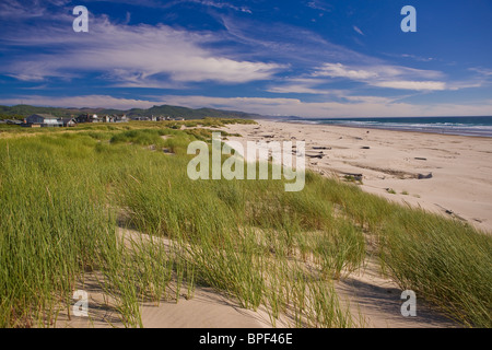 MANZANITA, OREGON, USA - Sanddünen, Gräser und Strand an der Küste von Oregon. Stockfoto