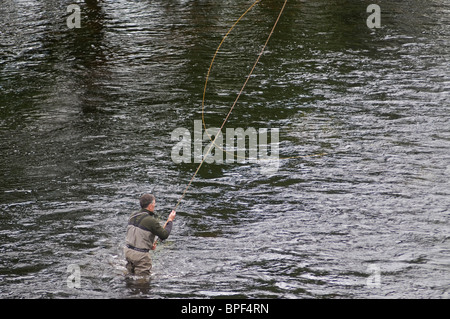 Lachs Fliegenfischen an der schottischen River Spey, Highland Region Schottlands.  SCO 6432 Stockfoto