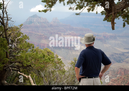Ein Mann, der Blick auf den Grand Canyon von Bright Angel Point, North Rim, Arizona USA Stockfoto