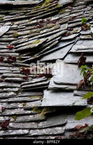 Klapprige alten Ziegeldach Anzeichen für Standfestigkeit und beschädigen.  Einige grüne und rote Blattwachstum kann gesehen werden. Stockfoto
