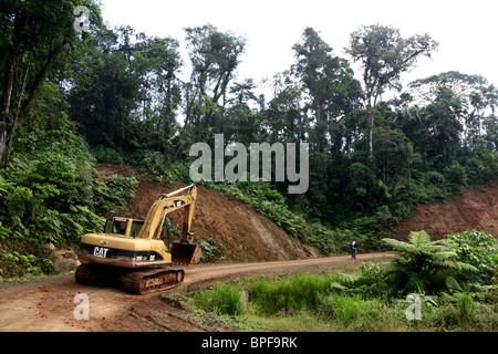 CAT-Hydraulikbagger 320C, der auf der neuen Straße durch Nebelwälder in der Comarca de San Blas nach Carti, Panama, arbeitet Stockfoto