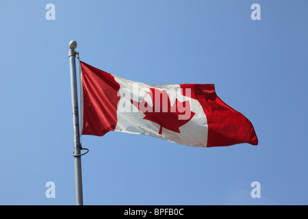 Kanadische Maple Leaf Flag fliegen. Foto: Willy Matheisl Stockfoto