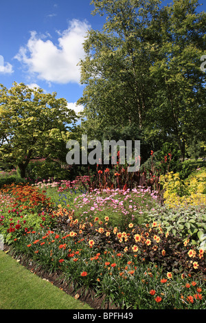 Blume Grenze innerhalb der Valley Gardens Harrogate, North Yorkshire, England, Großbritannien Stockfoto