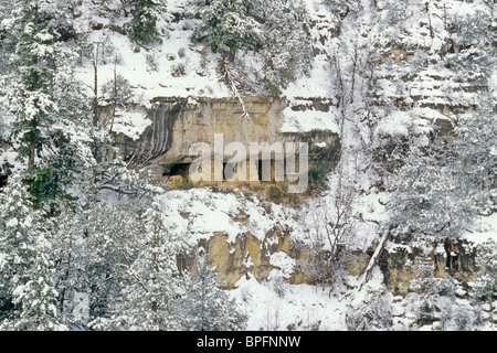 Cliff Dwellings an verschneiten Wintertag, Blick vom Island Trail im Walnut Canyon National Monument, Flagstaff, Arizona, USA Stockfoto