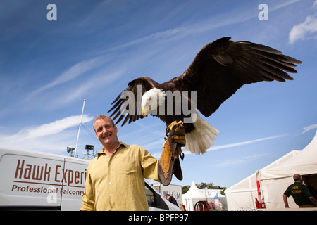 Großbritannien, England, Merseyside, Southport Flower Show, Chris O'Donnell, Hawk Erfahrung, Weißkopf-Seeadler Haliaeetus Leucocephalus am arm Stockfoto