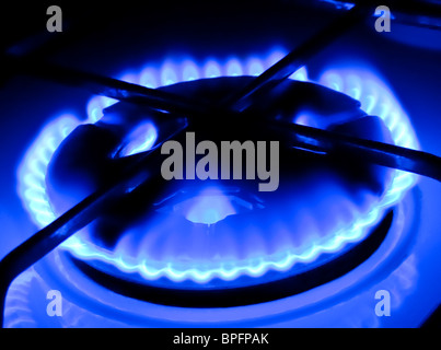 Flamme von einem Gas Herd Stockfoto