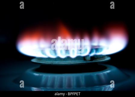 Flamme von einem Gas Herd Stockfoto