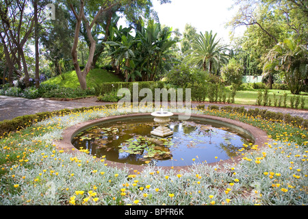 Springbrunnen und Teich bei Fahrt durch Quinta Bela Vista - Funchal Stockfoto