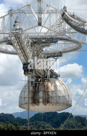 Radioteleskop Arecibo-Observatorium, Puerto Rico Stockfoto