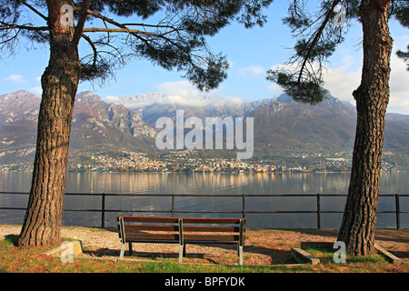 Bank zwischen zwei Bäumen an der Promenade entlang der Berge und den Comer See in Italien. Stockfoto