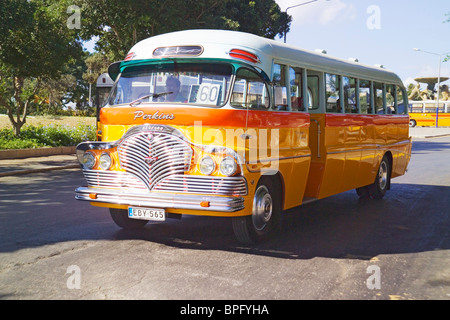 Lokalen maltesischen Bus, Malta Stockfoto