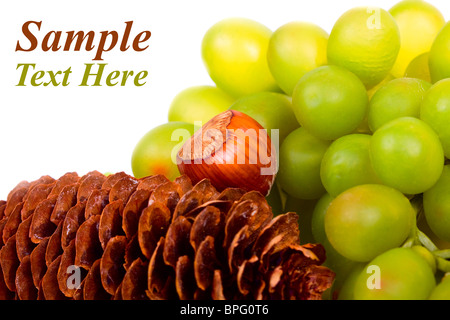 Herbst Hintergrund. Stockfoto