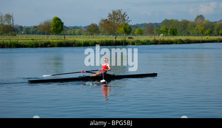 einzelne Ruderer auf der Themse in der Nähe von Henley Stockfoto