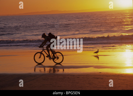 Mann, Reiten am Strand bei Sonnenuntergang. Stockfoto