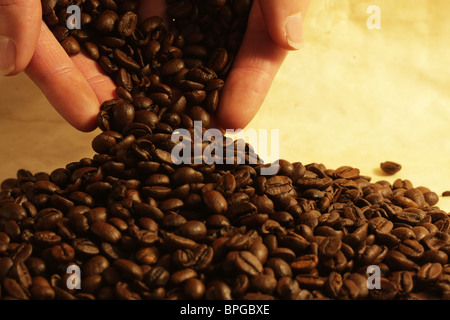 Hand halten Kaffeebohnen Stockfoto